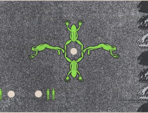 Willis Frogger UR CPO